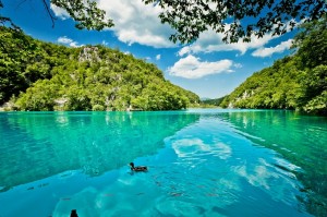 beautiful_landscape_in_the_plitvice_lakes_national_park_in_croatia_shutterstock_107631170