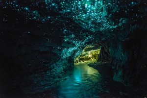 waitomo-glowworm-caves-1._sources