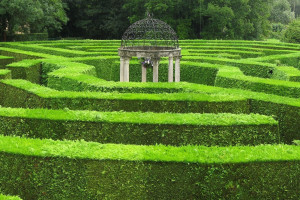 hedge-maze-longleat